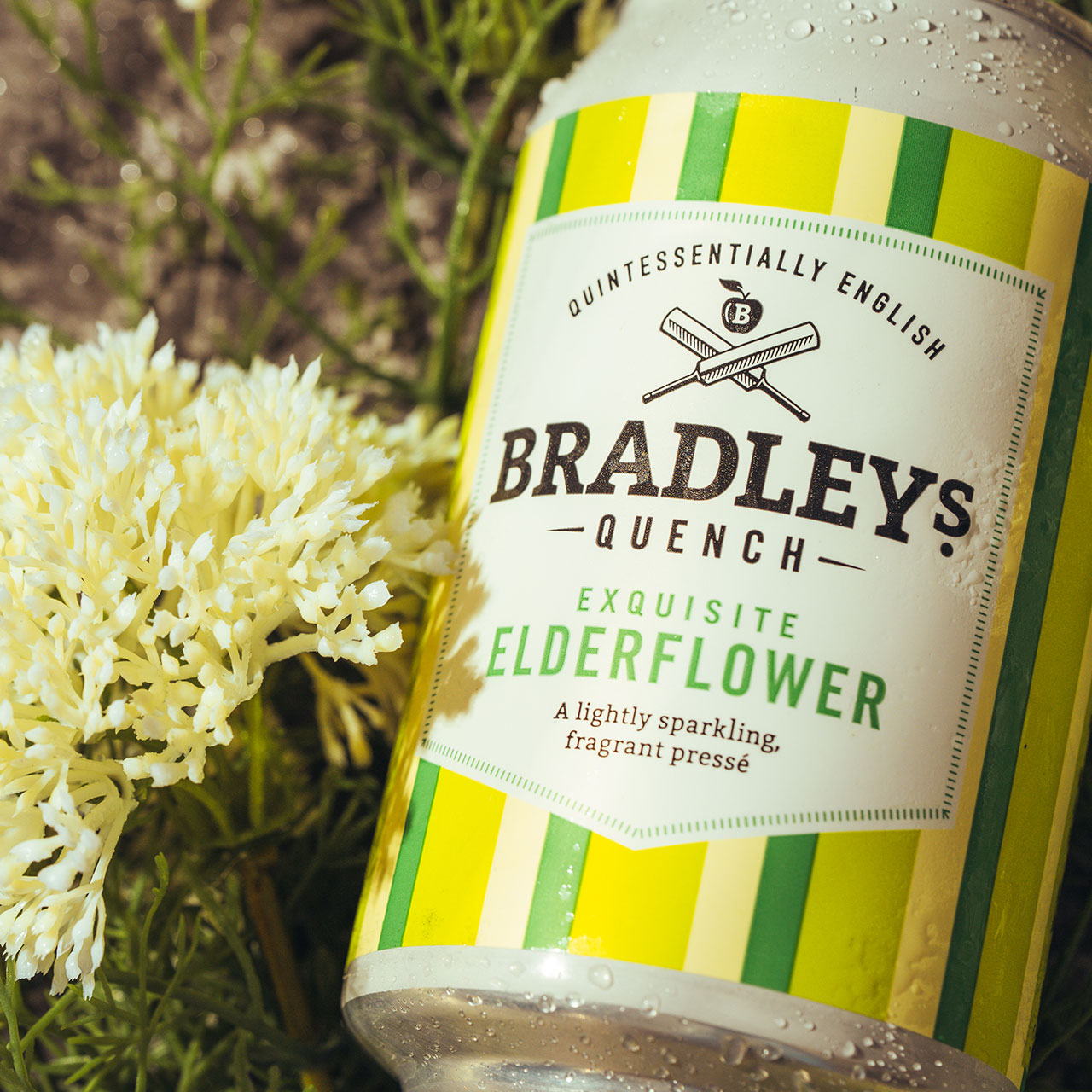 Elderflower Presse