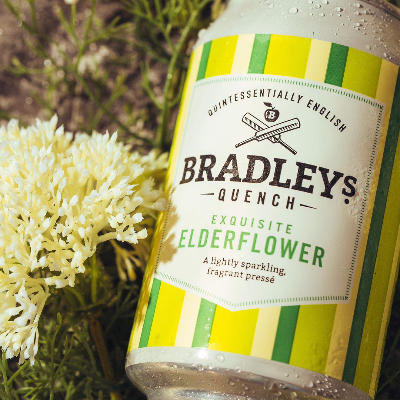 elderflower presse