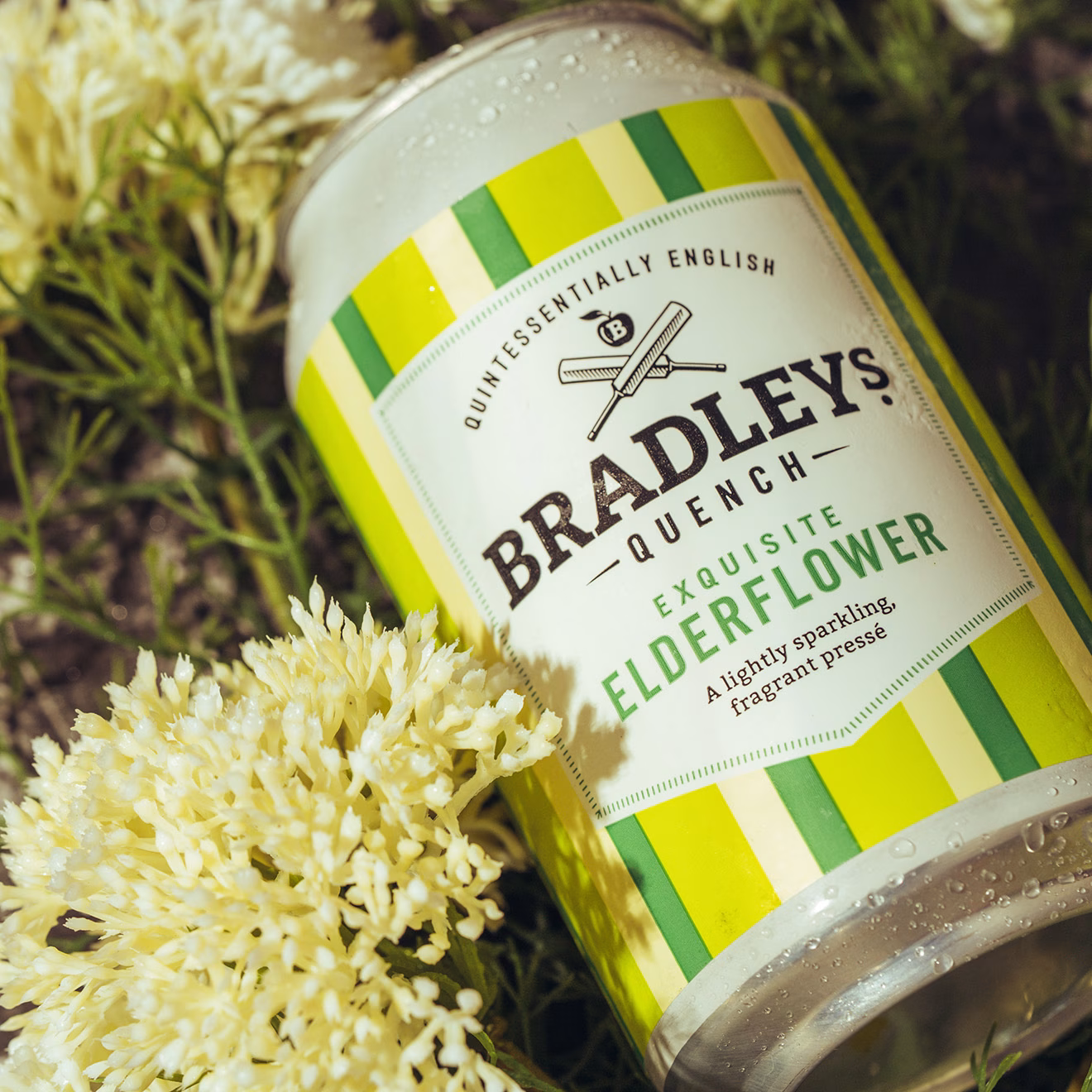 elderflower presse