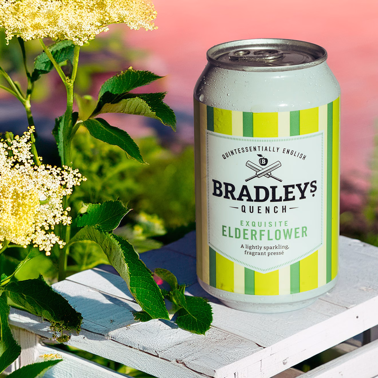 elderflower presse